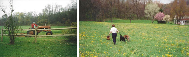 Man on tractor and woman in field with dogs.