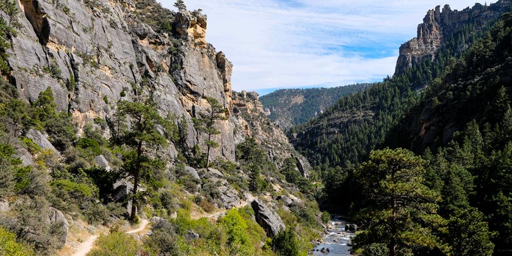 The Tongue River, a tributary of the Yellowstone River, is approximately 265 miles long and runs through Wyoming and Montana. The river is nearby the site of the Tongue River BIPOC Artist Residency in Dayton, Wyoming.