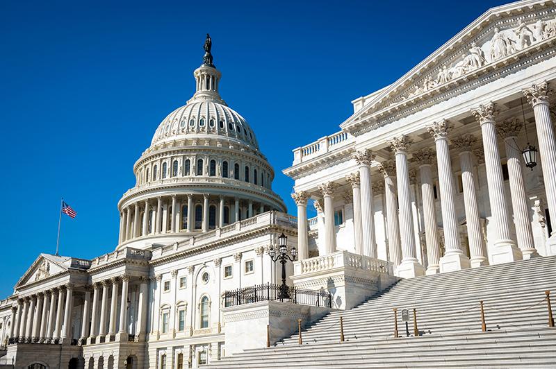 U.S. Capitol Building in Washington D.C.