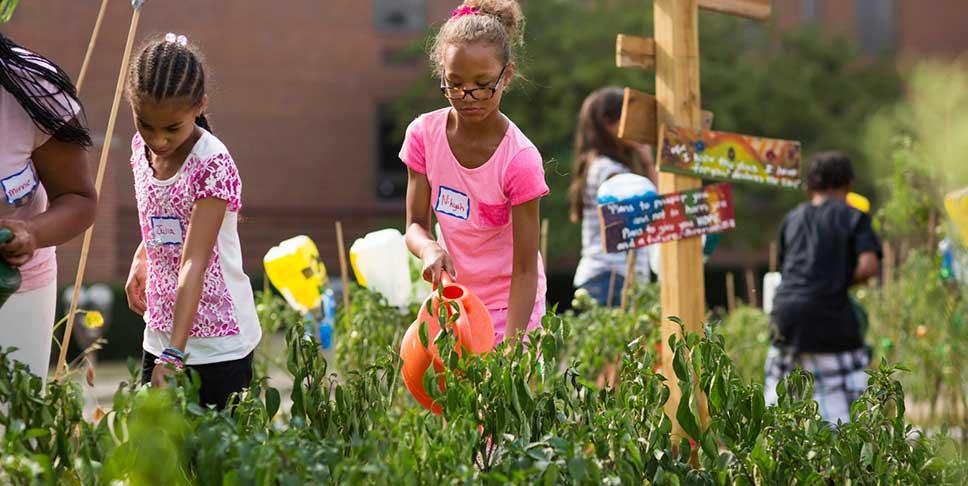 Program of Sonward. Students from K - 8 started an urban garden in New Kensington.