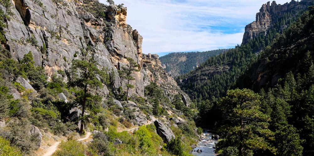 The Tongue River, a tributary of the Yellowstone River, is approximately 265 miles long and runs through Wyoming and Montana. The river is nearby the site of the Tongue River BIPOC Artist Residency in Dayton, Wyoming.